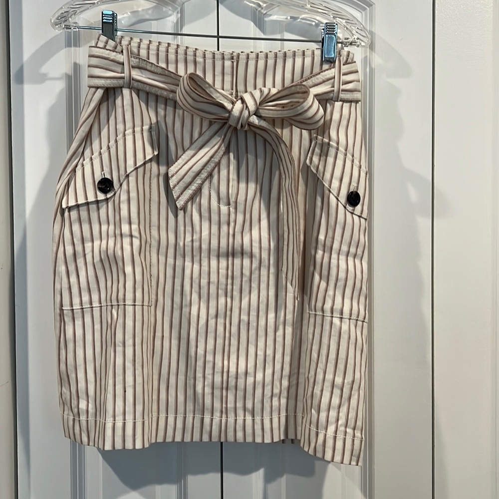 Ann Taylor Skirt size 10